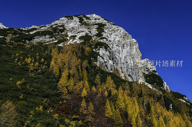 秋天的森林和山脉，Prisojnik, Vršič， Gorenjska，朱利安阿尔卑斯山，斯洛文尼亚，欧洲